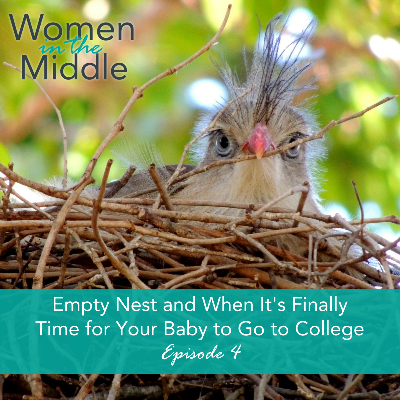 midlife women podcast empty nest