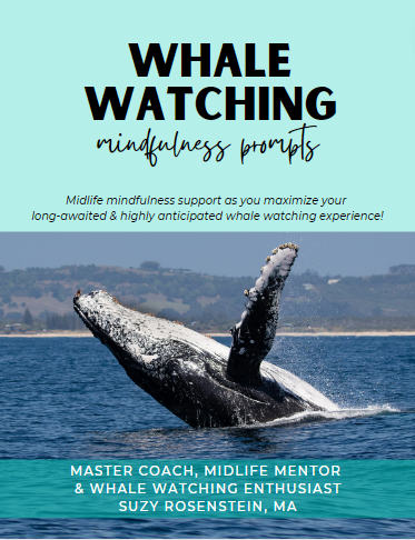 Whale Watching Prompts Mindfulness
